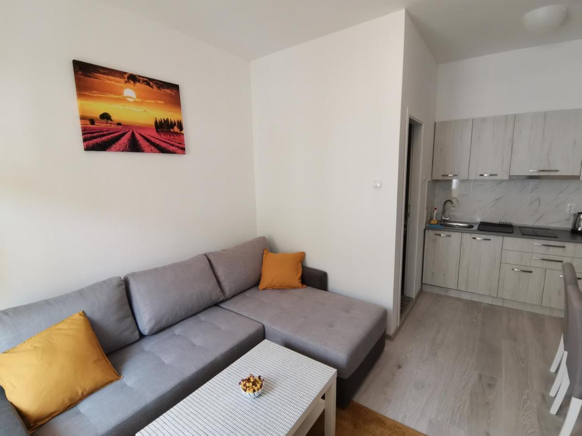 Ris Central Apartments Novi Sad Dış mekan fotoğraf